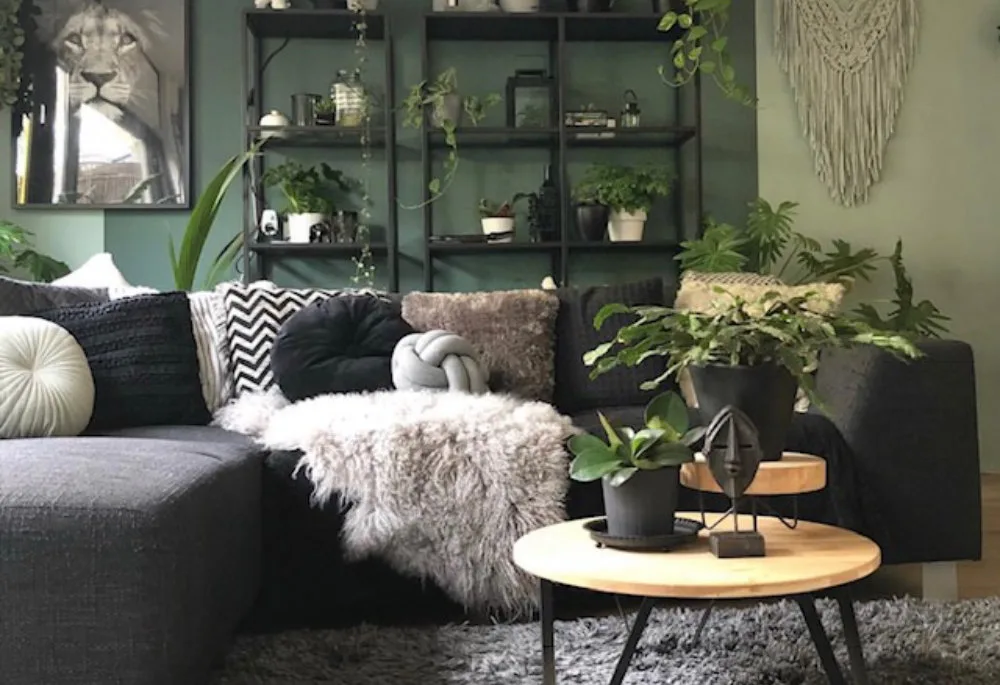 Donkere woonkamer met bank, salontafel en planten